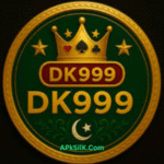 DK999 Game